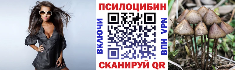 Галлюциногенные грибы MAGIC MUSHROOMS  Осинники 