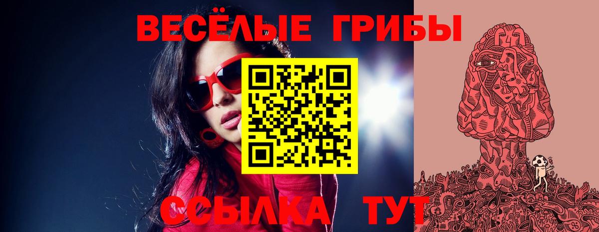 Псилоцибиновые грибы Psilocybine cubensis  Вход с VPN  Осинники  Галлюциногенные грибы Magic Shrooms 